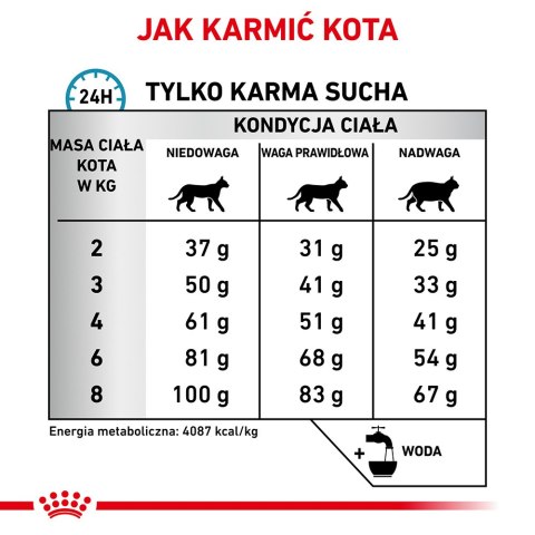 ROYAL CANIN Veterinary Renal Hypoallergenic Feline 400g Royal Canin weterynaria