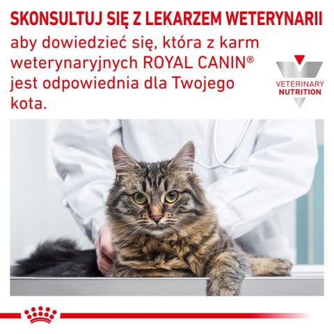 ROYAL CANIN Veterinary Renal Hypoallergenic Feline 400g Royal Canin weterynaria