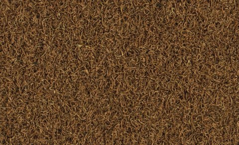 Tetra Delica Bloodworms 100ml TETRA