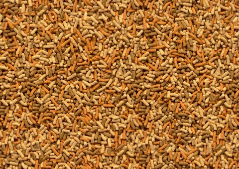 Tetra Pond Variety Sticks 4l TETRA