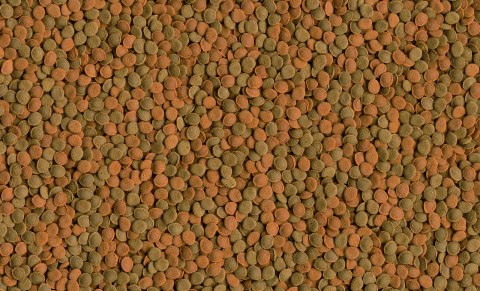 Tetra Wafer Mix 1000ml TETRA
