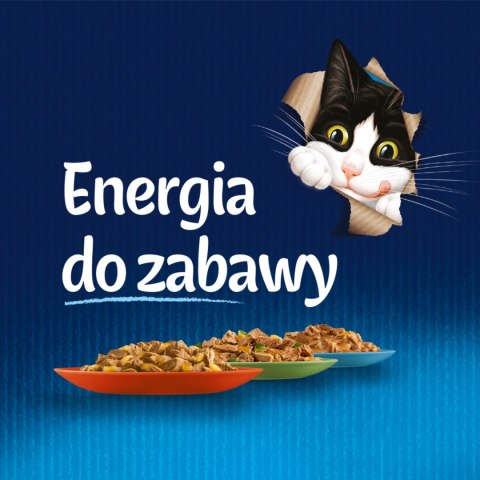 Felix Fantastic Wołowina W Galaretce 85g Felix
