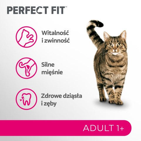 PERFECT FIT Adult 1+ Z Kurczakiem 7kg Perfect Fit