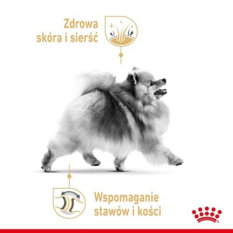 ROYAL CANIN Pomeranian 12x85g Royal Canin