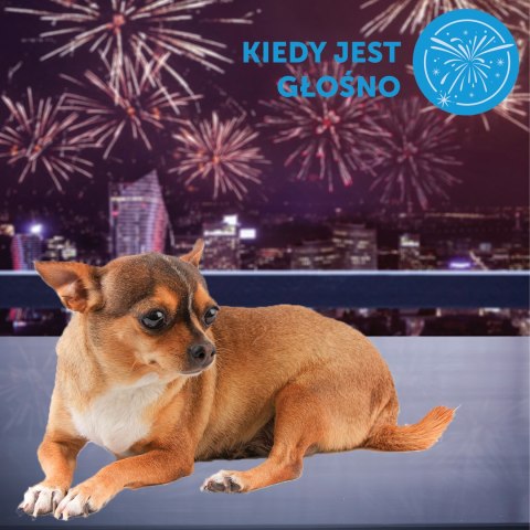 Ceva Animal Health Polska Sp. Z O.o. Adaptil Dyfuzor 48ml Ceva Animal Health Polska Sp. z o.o.