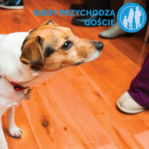 Ceva Animal Health Polska Sp. Z O.o. Adaptil Dyfuzor 48ml Ceva Animal Health Polska Sp. z o.o.