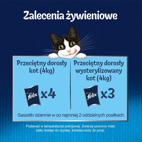 Felix Fantastic Kurczak W Galaretce 85g Felix