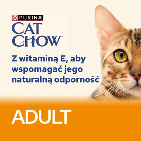Purina Cat Chow Adult Jagnięcina I Zielona Fasolka 85g Purina Cat Chow