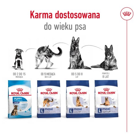 ROYAL CANIN Maxi Ageing 8+ 15kg Royal Canin