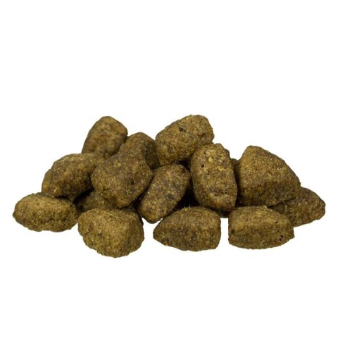 BOSCH Adult Lamb & Rice 15kg Bosch
