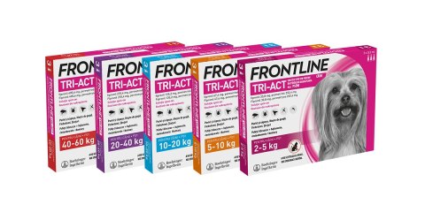 FRONTLINE Tri-Act Dla Psów 3x1ml Frontline (Boehringer Ingelheim)