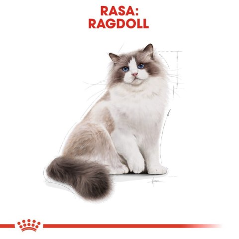 ROYAL CANIN Ragdoll Adult 400g Royal Canin