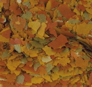 Tropical Goldfish Color 1000ml Tropical
