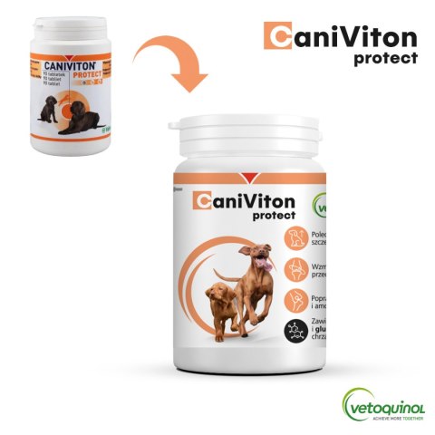 Vetoquinol Caniviton Protect 90szt Vetoquinol