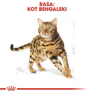 ROYAL CANIN Bengal Adult 2kg Royal Canin
