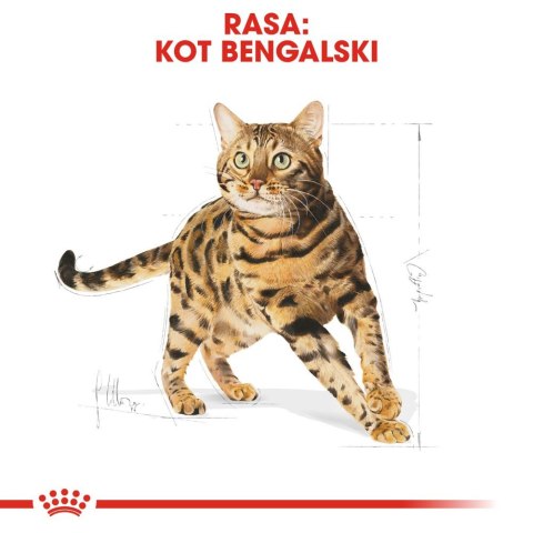 ROYAL CANIN Bengal Adult 2kg Royal Canin