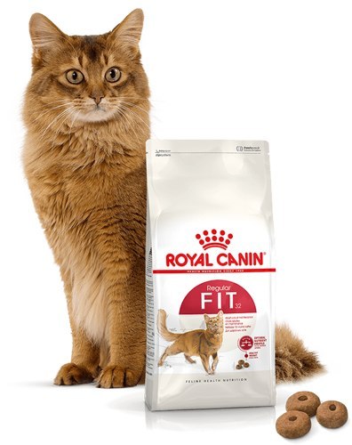 ROYAL CANIN Fit 32 10kg Royal Canin