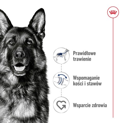 ROYAL CANIN Maxi Adult 15kg Royal Canin