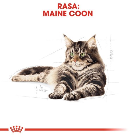 ROYAL CANIN Maine Coon Adult 2kg Royal Canin