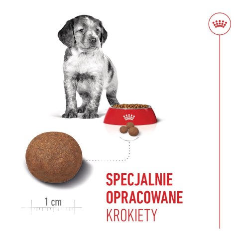 ROYAL CANIN Medium Puppy 15kg Royal Canin