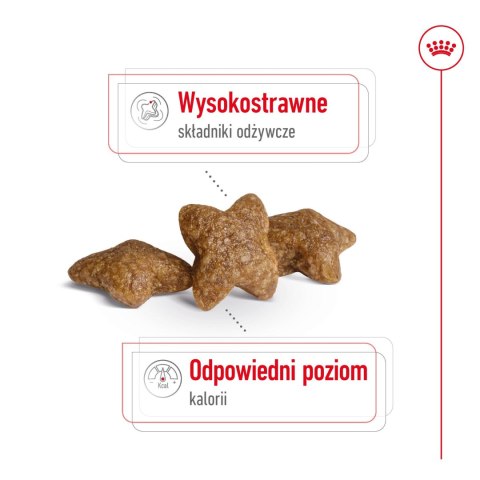 ROYAL CANIN Mini Adult 4kg Royal Canin