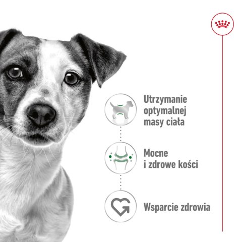 ROYAL CANIN Mini Adult 4kg Royal Canin