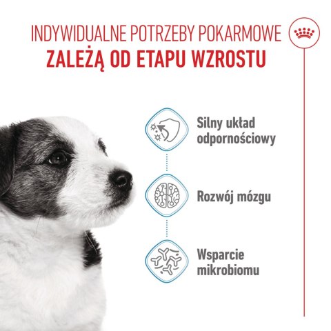 ROYAL CANIN Mini Puppy 2kg Royal Canin
