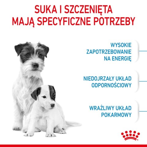 ROYAL CANIN Mini Starter 1kg Royal Canin
