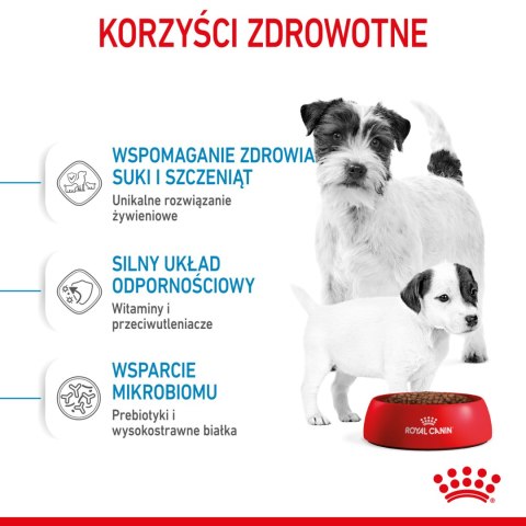 ROYAL CANIN Mini Starter 1kg Royal Canin