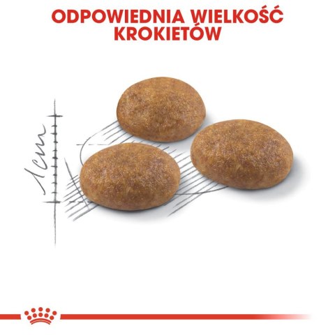 ROYAL CANIN Outdoor 4kg Royal Canin