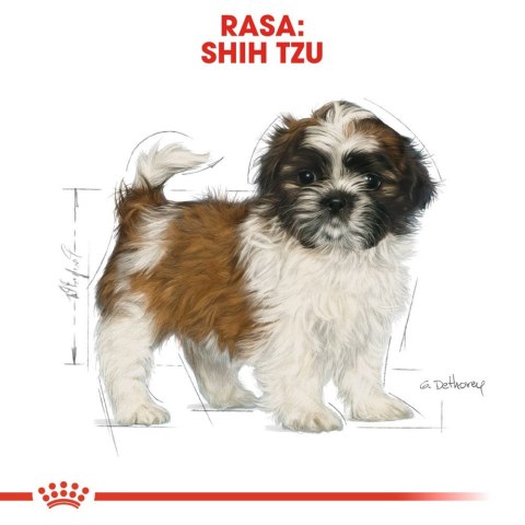 ROYAL CANIN Shih Tzu Puppy 1,5kg Royal Canin