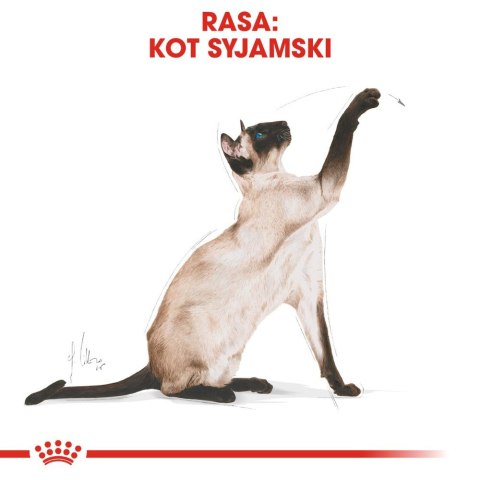 ROYAL CANIN Siamese Adult 2kg Royal Canin