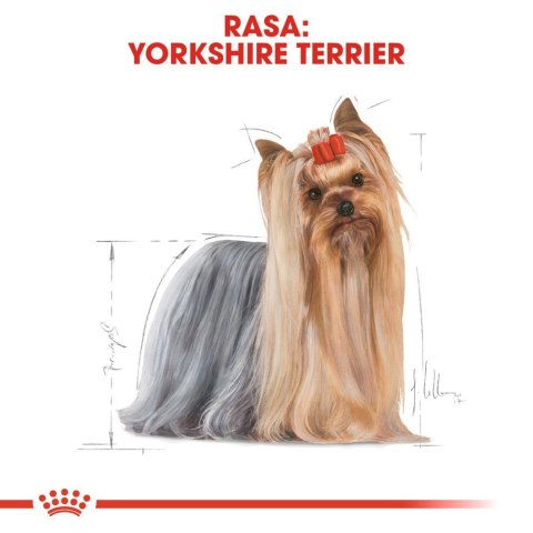 ROYAL CANIN Yorkshire Terrier Adult 500g Royal Canin