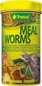 Tropical Meal Worms 100ml Tropical