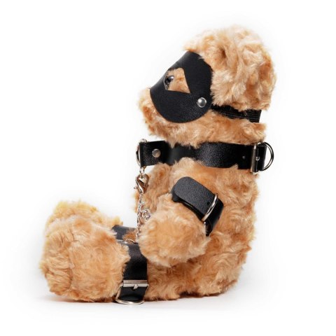 CRUSHIOUS CRUSHITO BONDAGE TEDDY BEAR BLACK 31CM Crushious