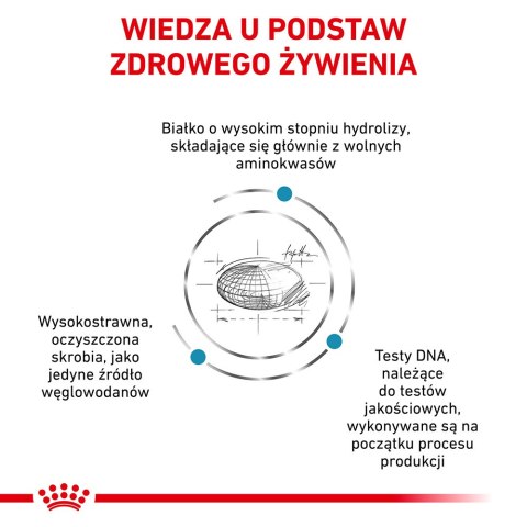 ROYAL CANIN Anallergenic 8kg Royal Canin weterynaria
