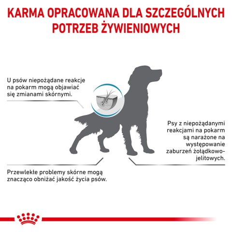 ROYAL CANIN Anallergenic 8kg Royal Canin weterynaria