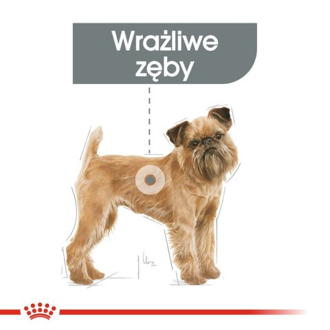 ROYAL CANIN CCN Mini Dental Care 3kg Royal Canin