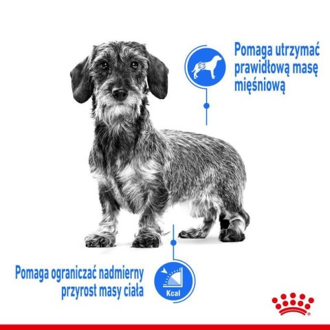 ROYAL CANIN CCN Mini Light Weight Care 3kg Royal Canin