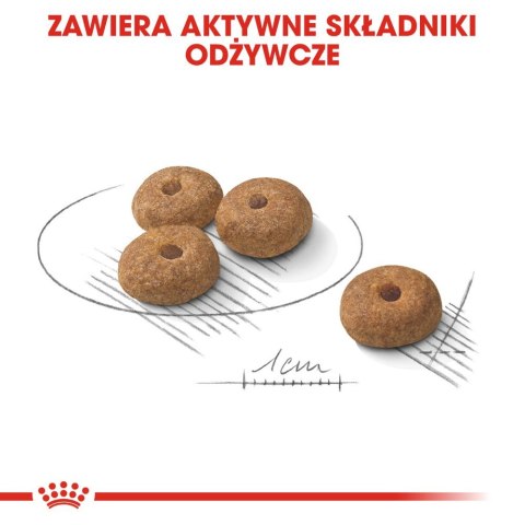 ROYAL CANIN CCN Mini Sterilised 3kg Royal Canin
