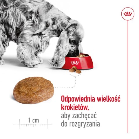 ROYAL CANIN Medium Adult 7+ 15kg Royal Canin