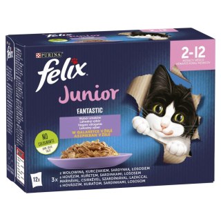 Felix Fantastic Junior W Galaretce 12x85g Felix