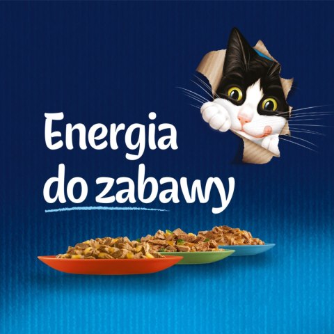 Felix Fantastic Junior W Galaretce 12x85g Felix