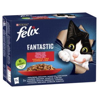 Felix Fantastic Wiejskie Smaki W Galaretce 12x85g Felix