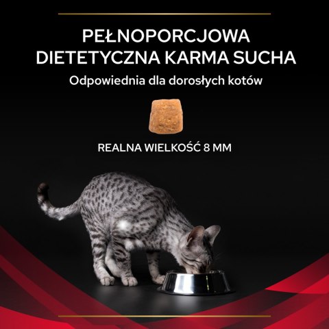 PURINA Pro Plan Veterinary Diets DM Diabetes Management Cat 1,5kg PRO PLAN Veterinary Diets