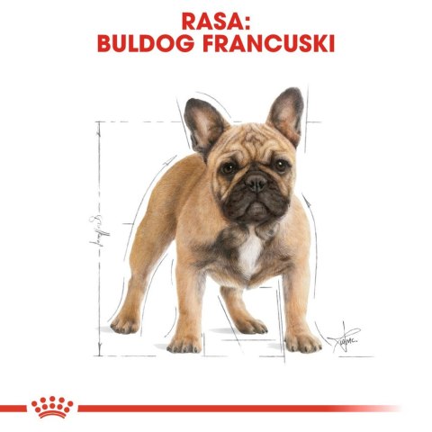 ROYAL CANIN French Bulldog Adult 1,5kg Royal Canin