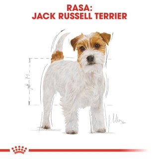 ROYAL CANIN Jack Russell Terrier Adult 1,5kg Royal Canin