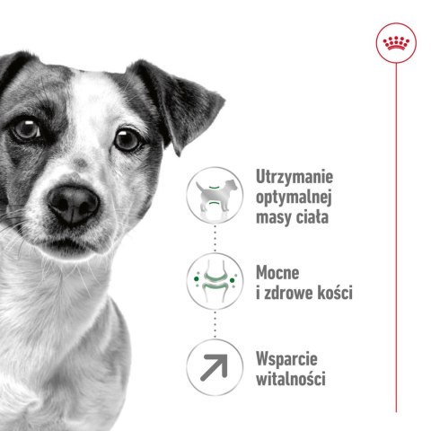 ROYAL CANIN Mini Adult +8 8kg Royal Canin