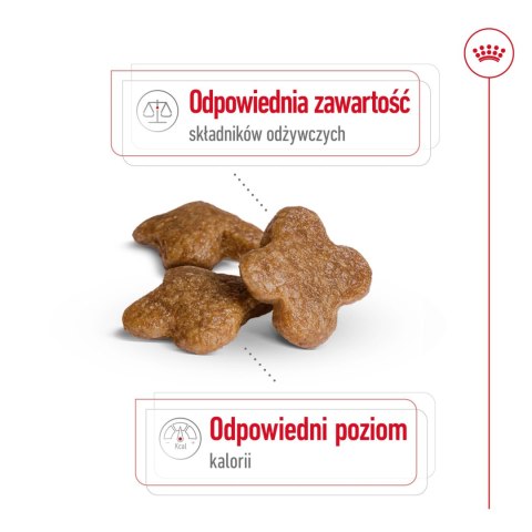 ROYAL CANIN Mini Adult +8 8kg Royal Canin