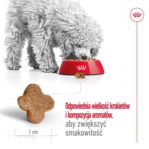 ROYAL CANIN Mini Adult +8 8kg Royal Canin